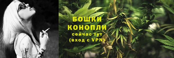 дмт Тында