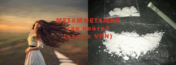 индика Туринск