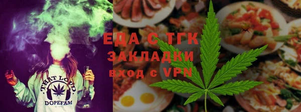 индика Туринск