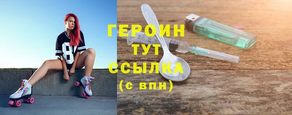 индика Туринск