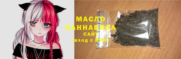 индика Туринск
