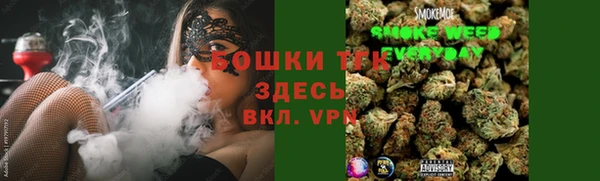 индика Туринск