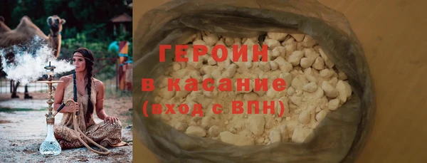 индика Туринск