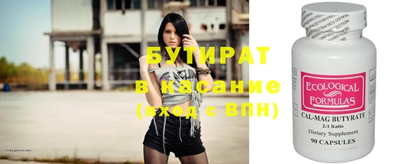 индика Туринск