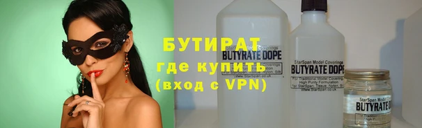 индика Туринск
