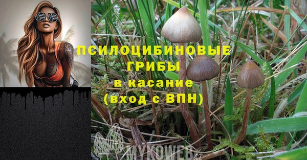 индика Туринск