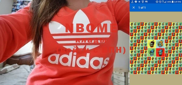 индика Туринск