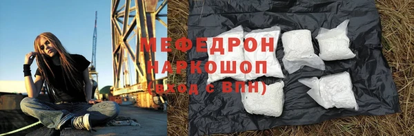 индика Туринск