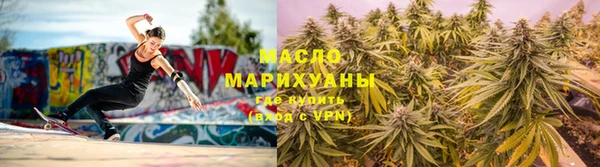 индика Туринск