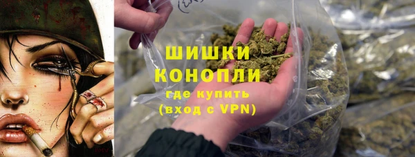 дмт Тында