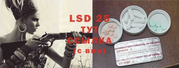 индика Туринск