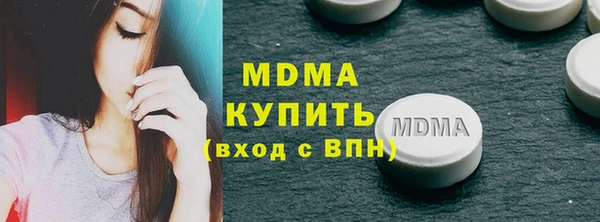 индика Туринск