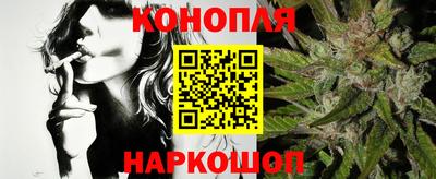 гашик Гай