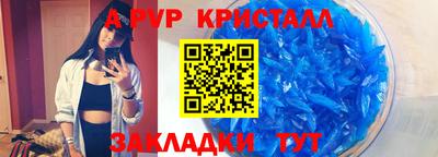 гашик Гай