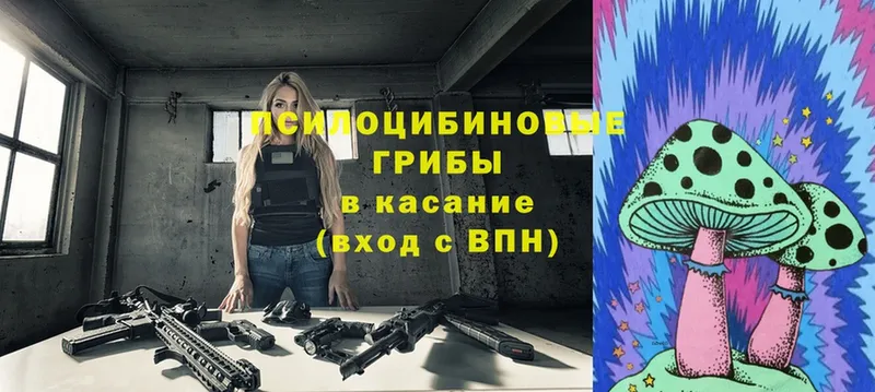 Псилоцибиновые грибы Cubensis  закладка  блэк спрут ONION  Бирск 